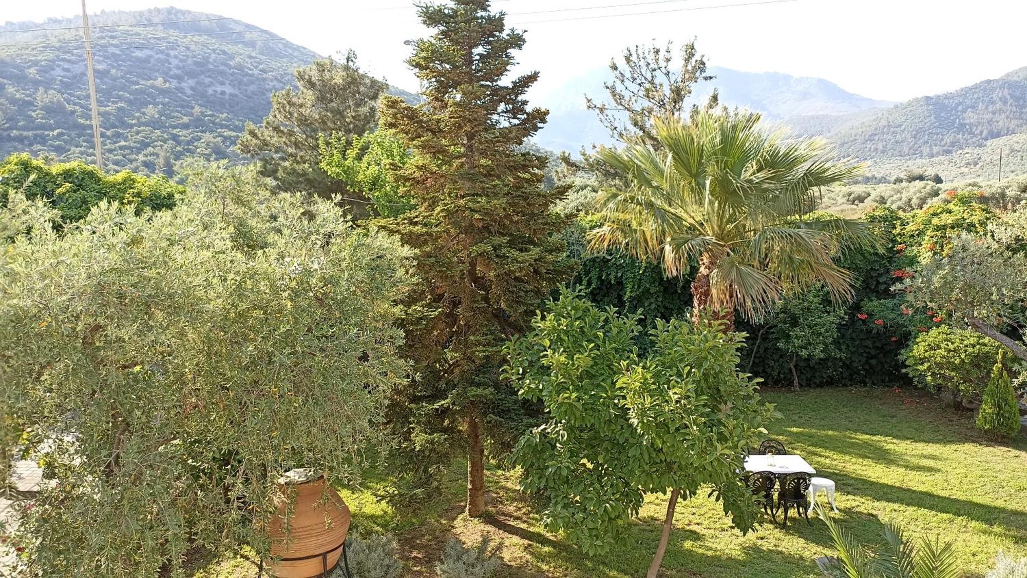 Villa Karapataki Σκάλα Ραχωνίου Εξωτερικό φωτογραφία