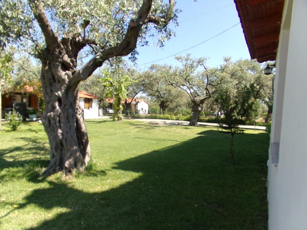 Villa Karapataki Σκάλα Ραχωνίου Δωμάτιο φωτογραφία